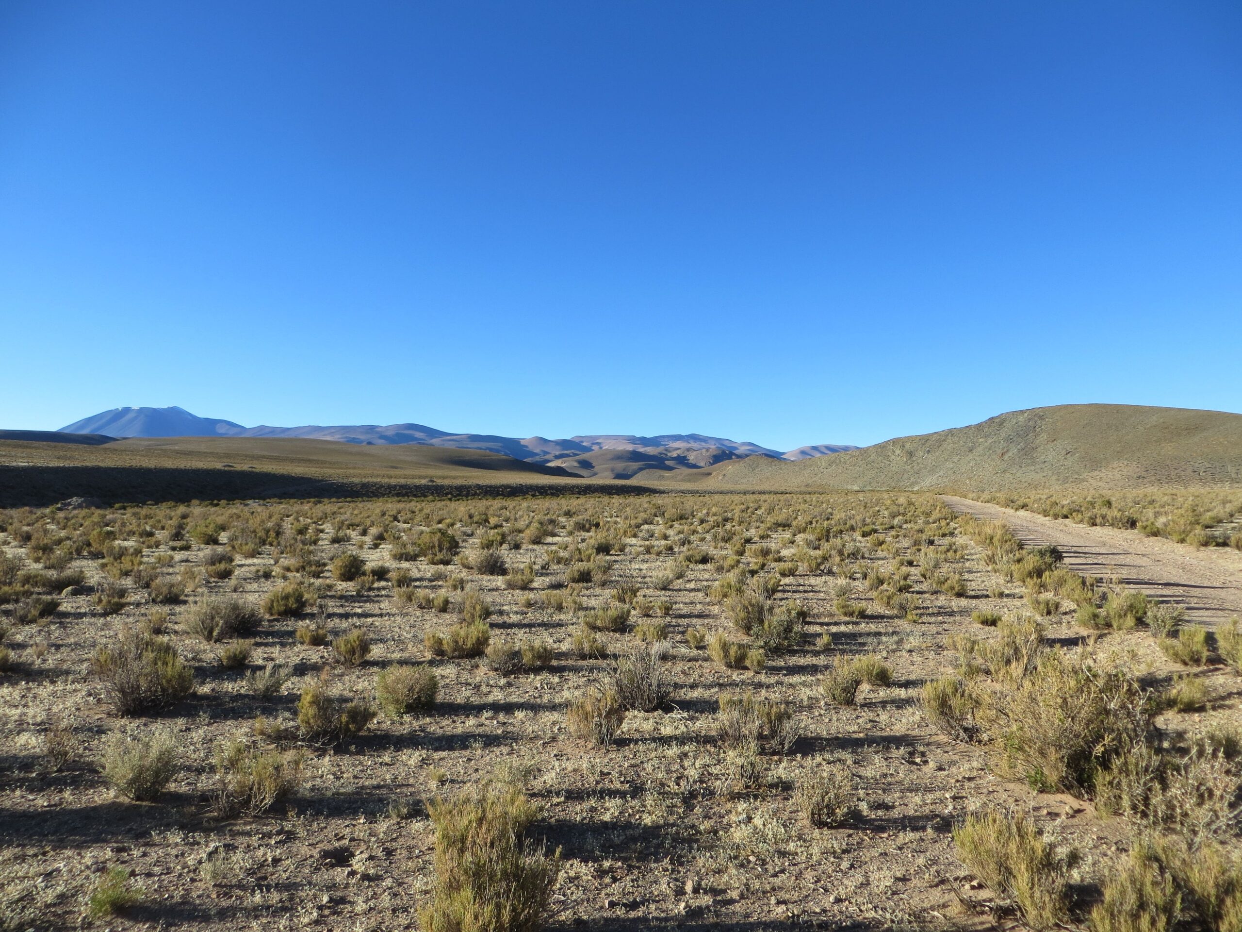 Salta aprueba el inicio de perforaciones avanzadas en el proyecto aurífero Organullo